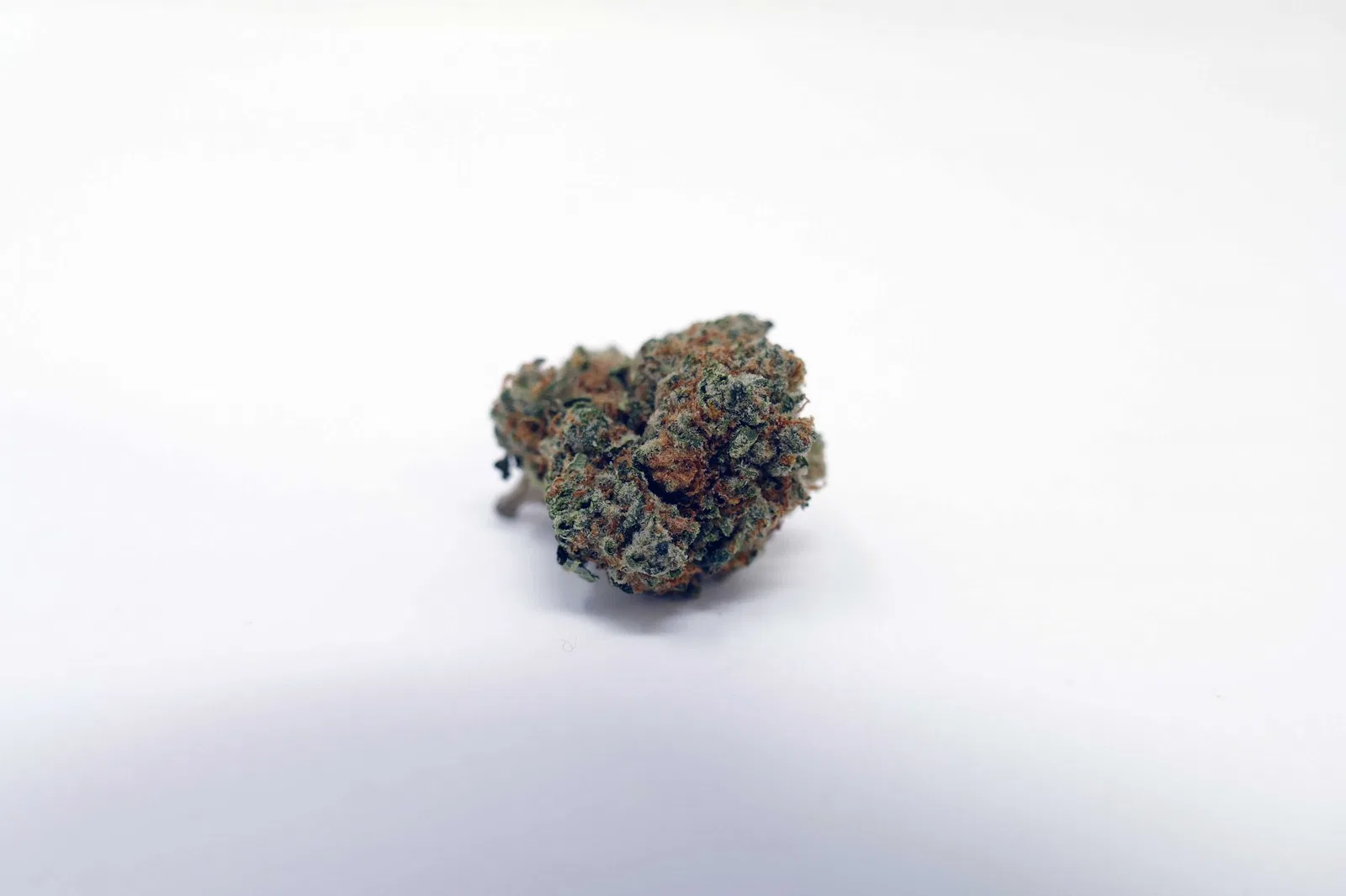 Deadhead OG cannabis flower from the original UK review archive.
