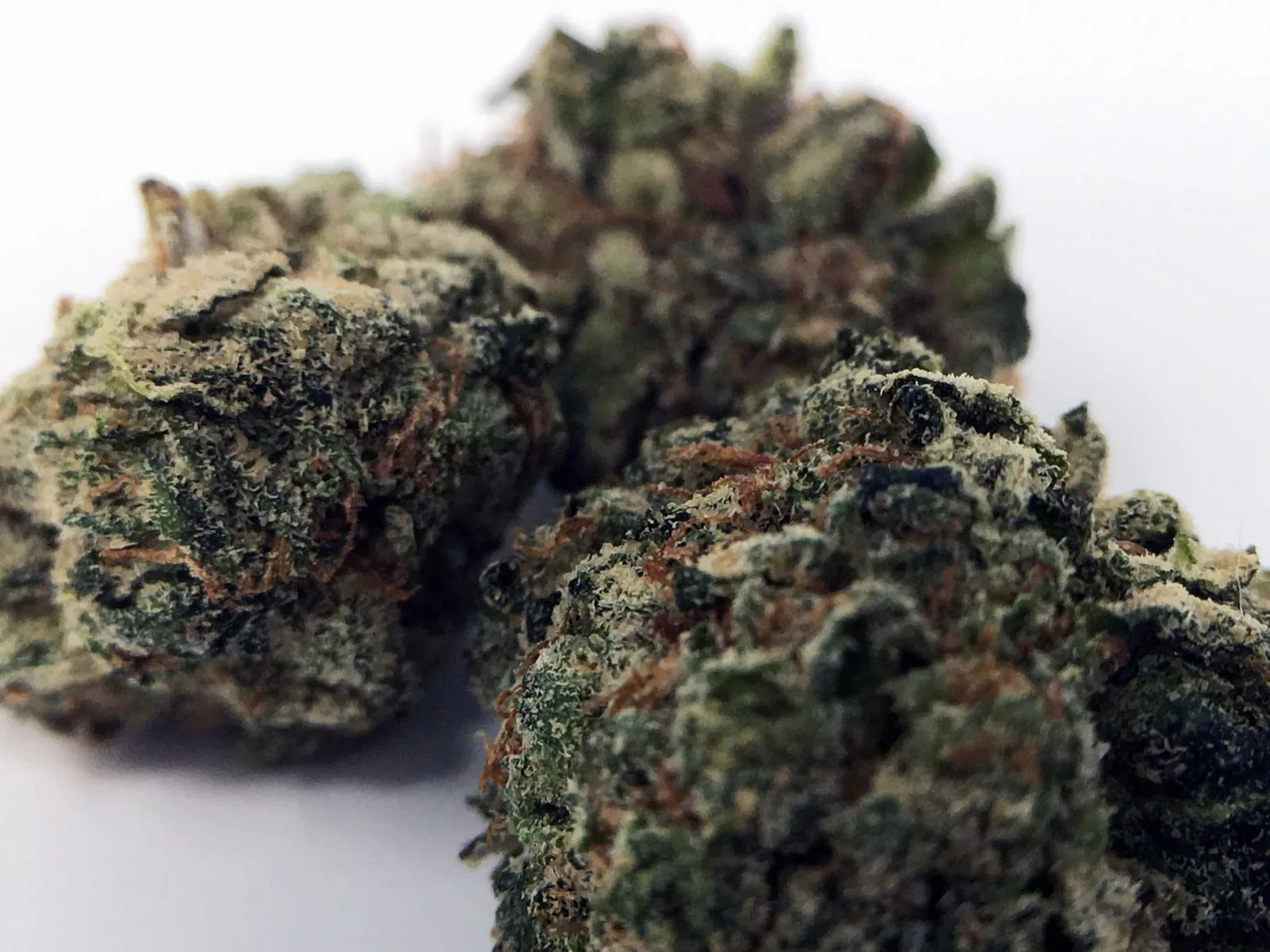 Deathbed Kush cannabis flower from the original UK review archive.