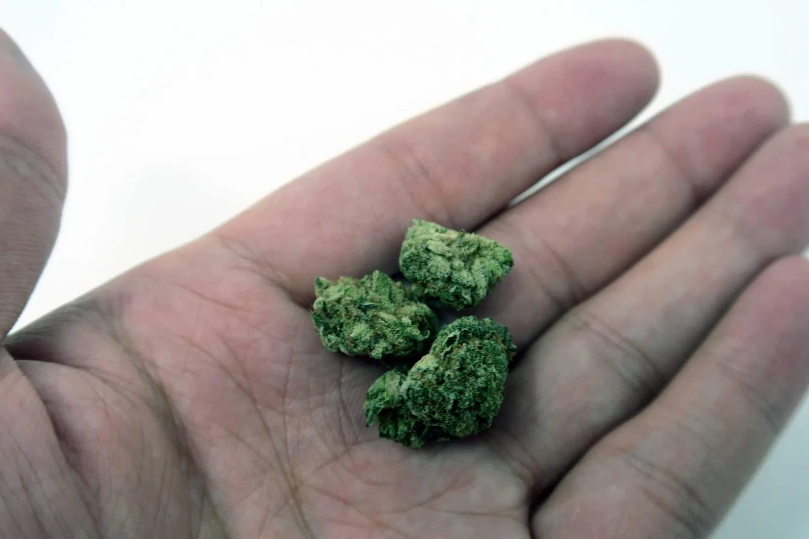 Deathbed Kush cannabis flower from the original UK review archive.
