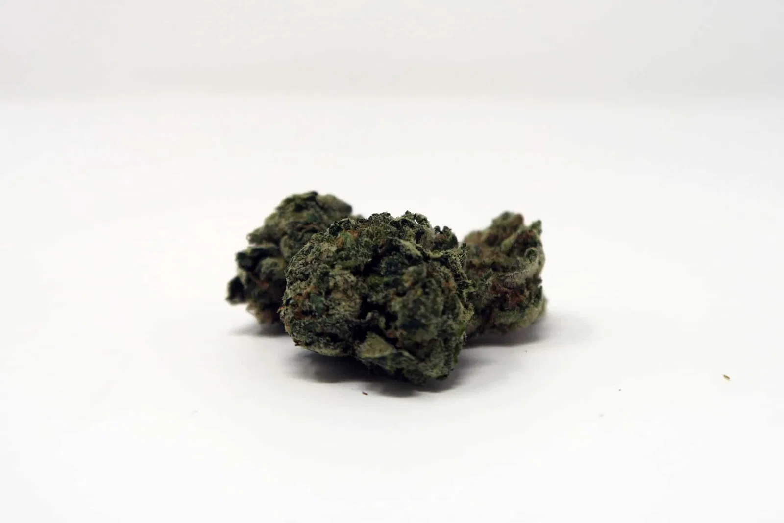 Deathbed Kush cannabis flower, shown as a similar-cultivar reference for Death Star; not Death Star