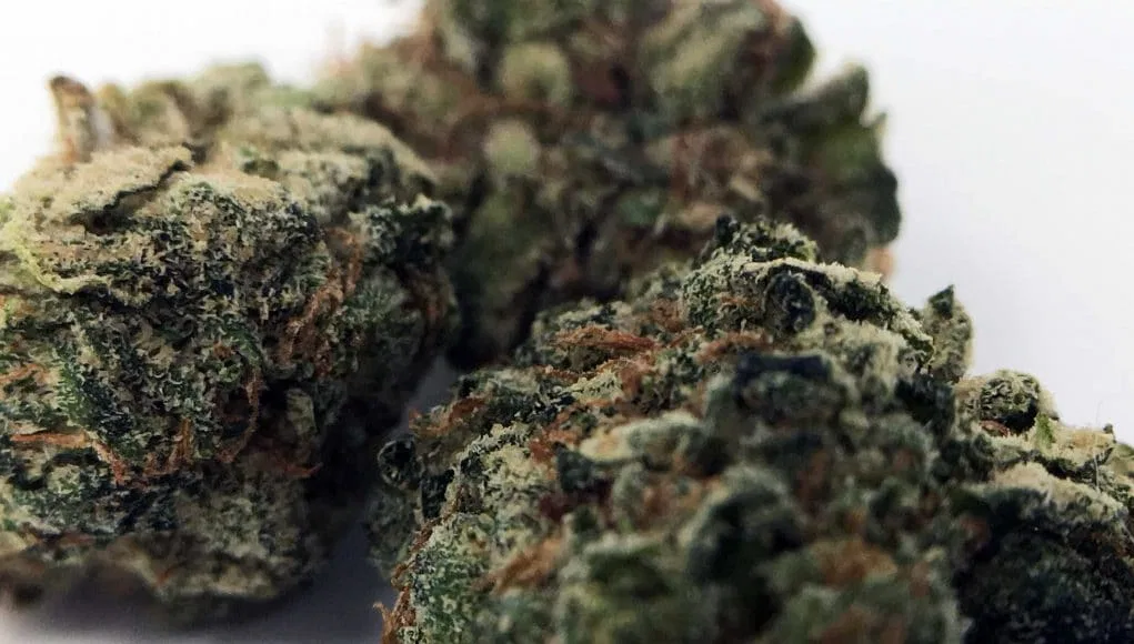 Deathbed Kush cannabis flower from the original UK review archive.