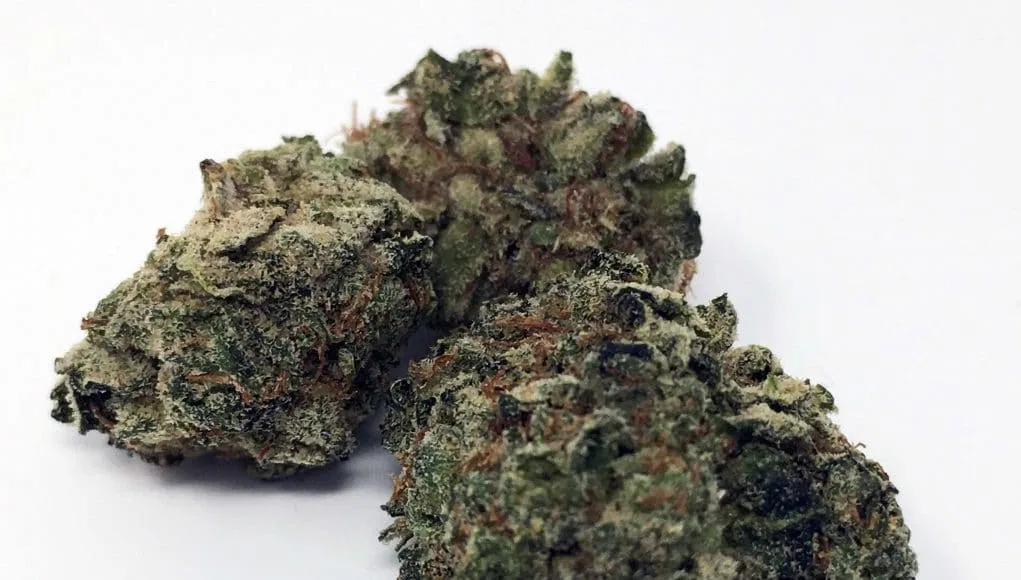 Deathbed Kush cannabis flower from the original UK review archive.