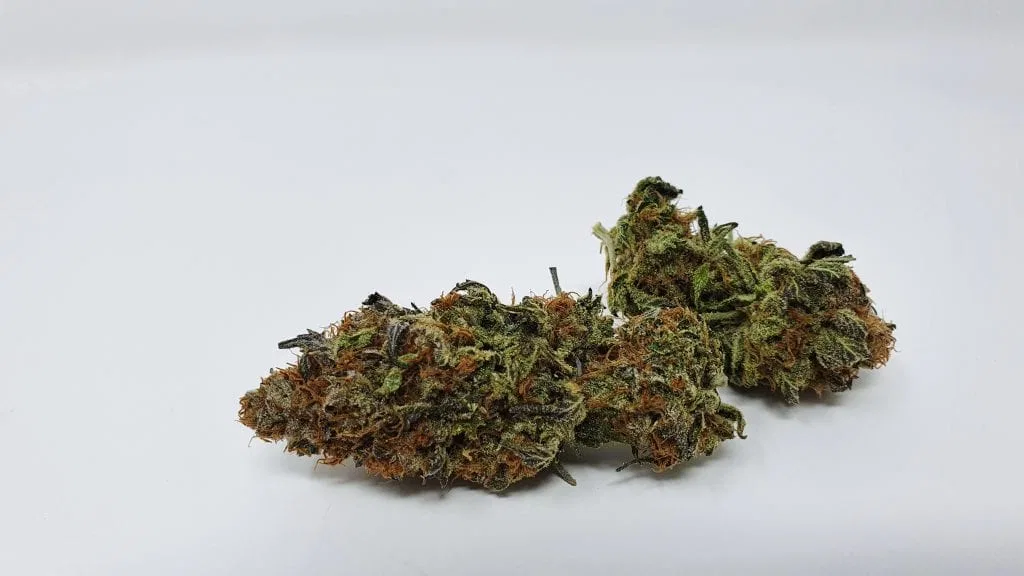 Disco Biscuit cannabis flower from the original UK review archive.