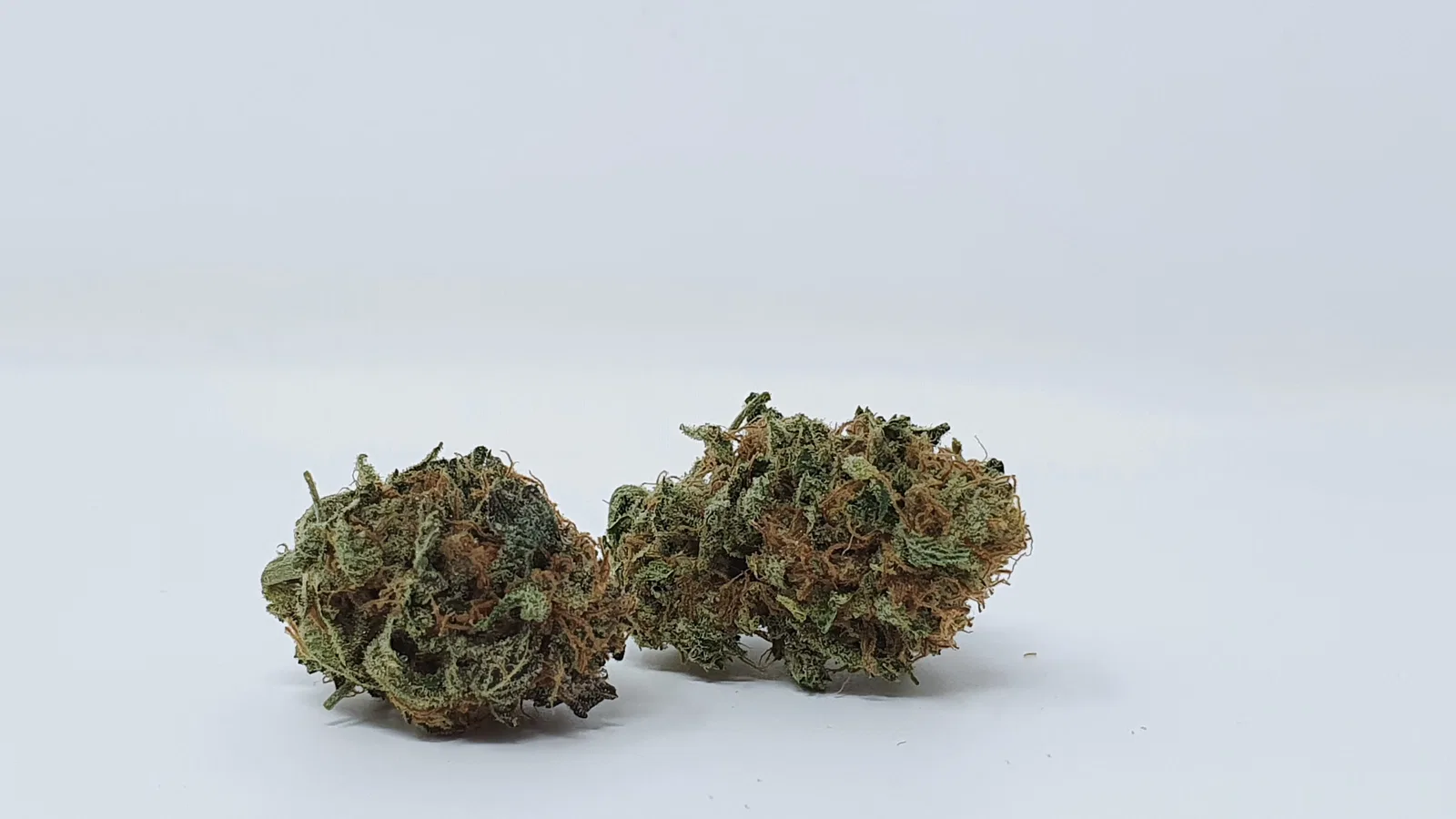 Disco Biscuit cannabis flower from the original UK review archive.