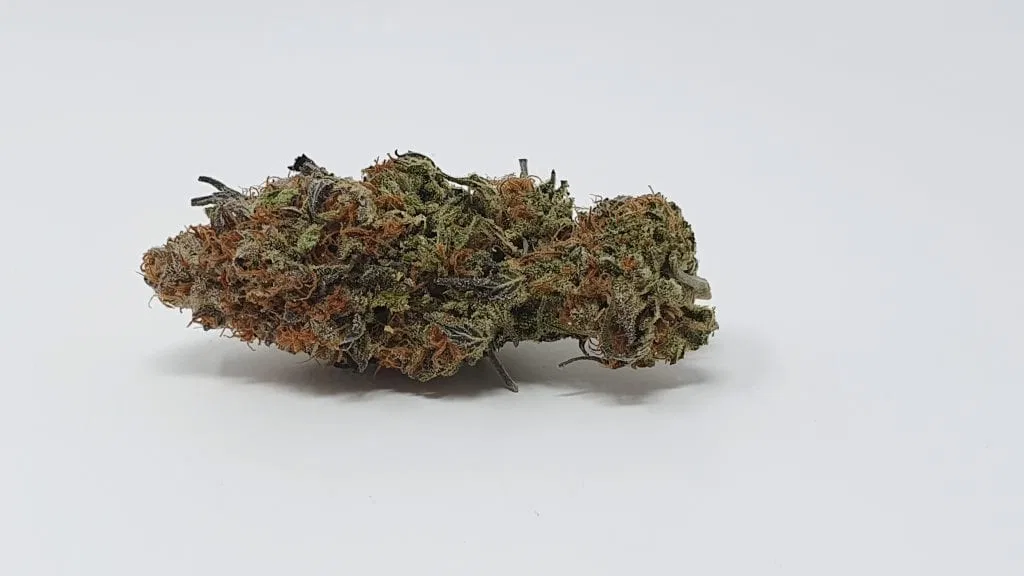 Disco Biscuit cannabis flower from the original UK review archive.