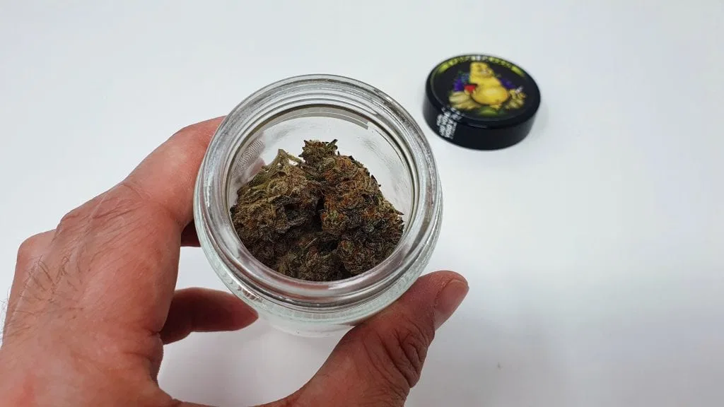 Divine Storm cannabis flower from the original UK review archive.