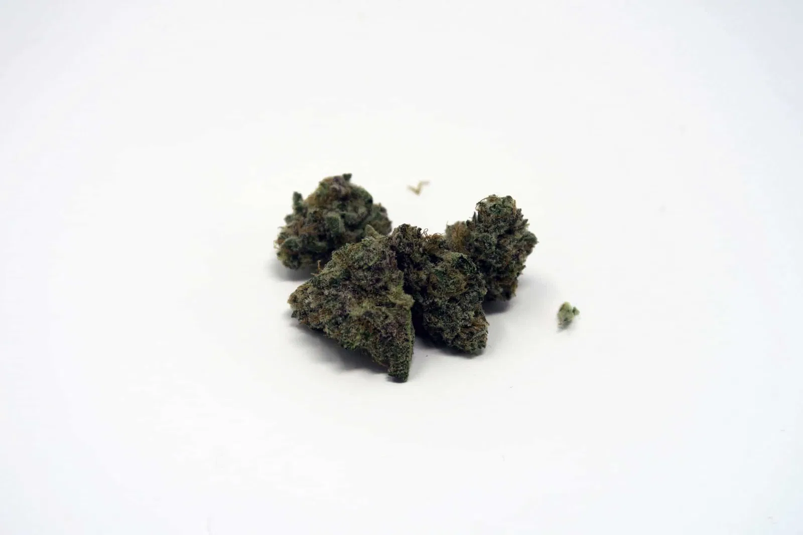 Dolato