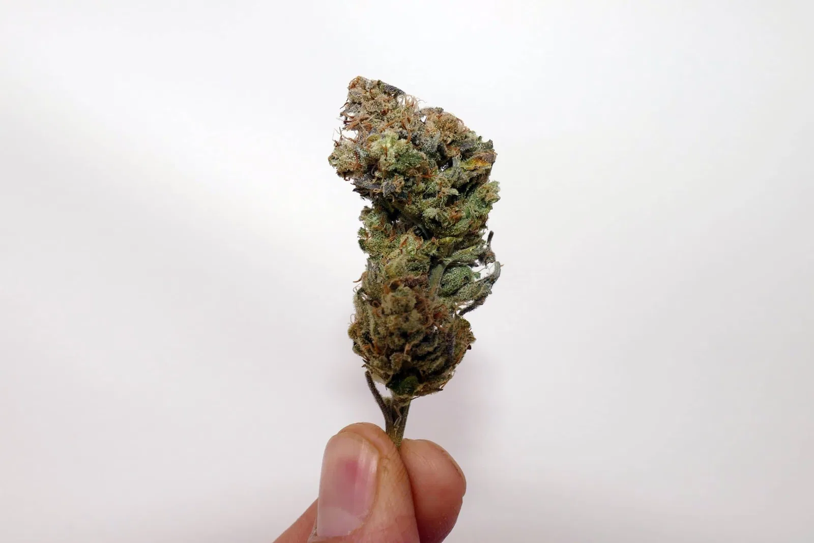Double Funk cannabis flower from the original UK review archive.
