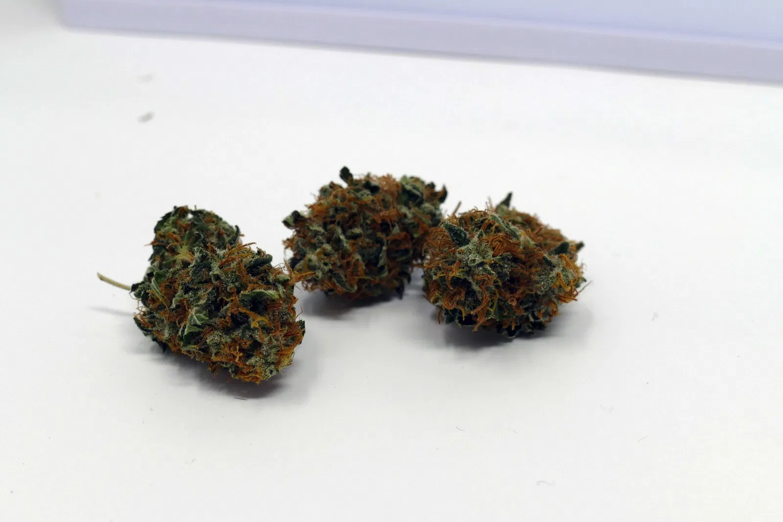 Early Skunk cannabis flower from the original UK review archive.