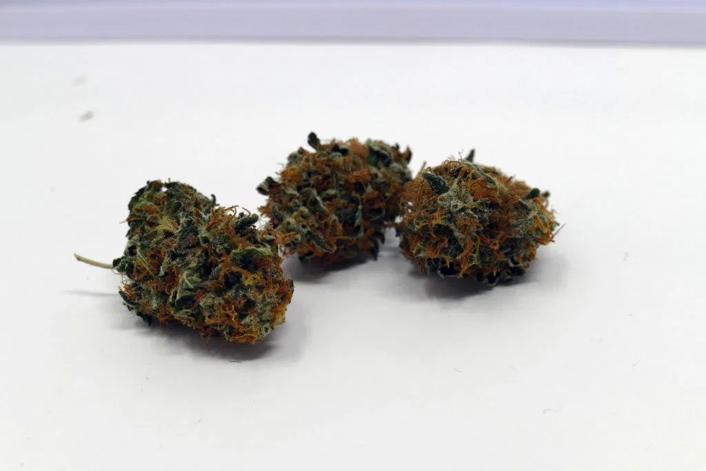 Early Skunk cannabis flower from the original UK review archive.