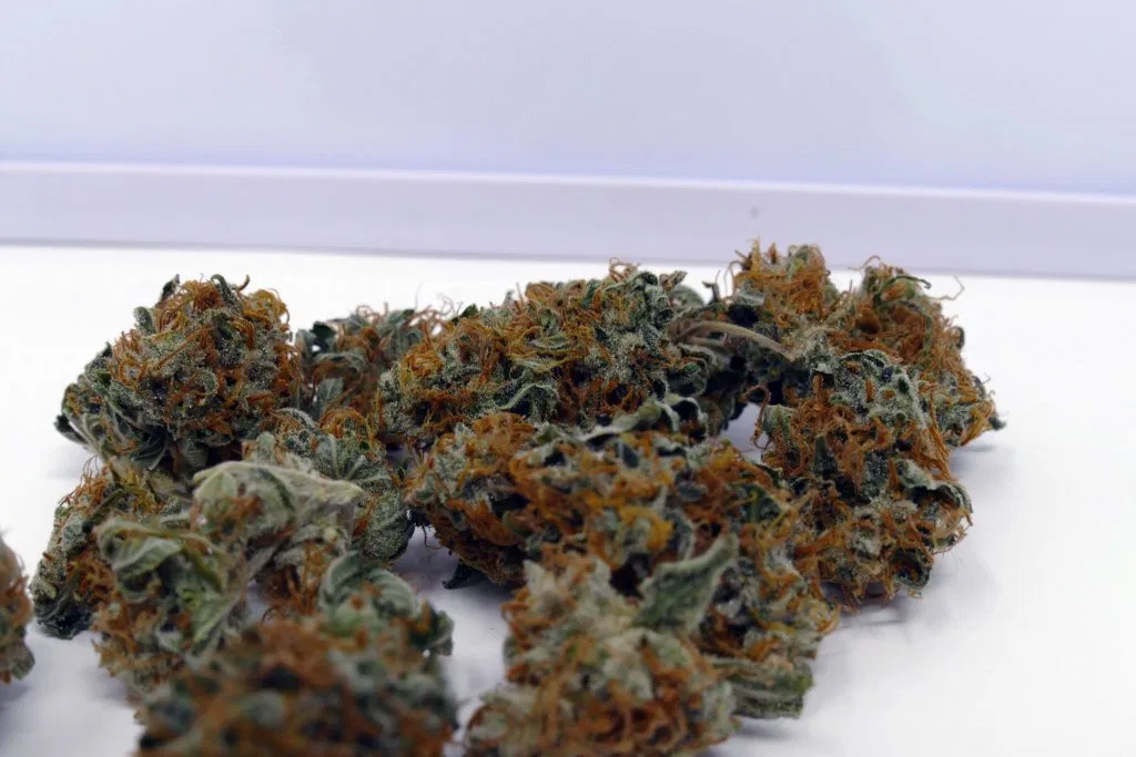 Early Skunk cannabis flower, shown as a similar-cultivar reference for Alaskan Thunder Fuck; not Alaskan Thunder Fuck