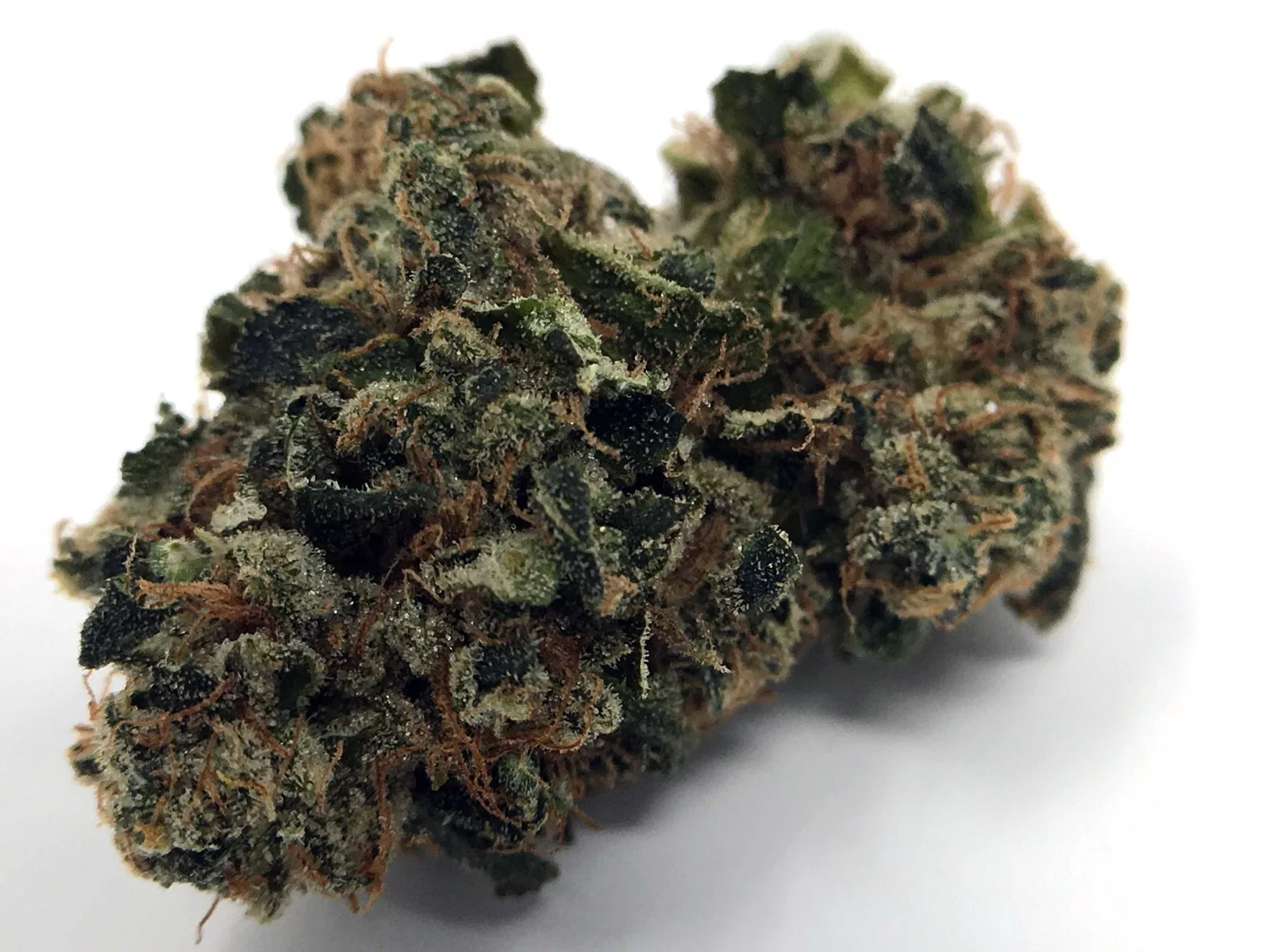 East Coast Sour Diesel cannabis flower from the original UK review archive.