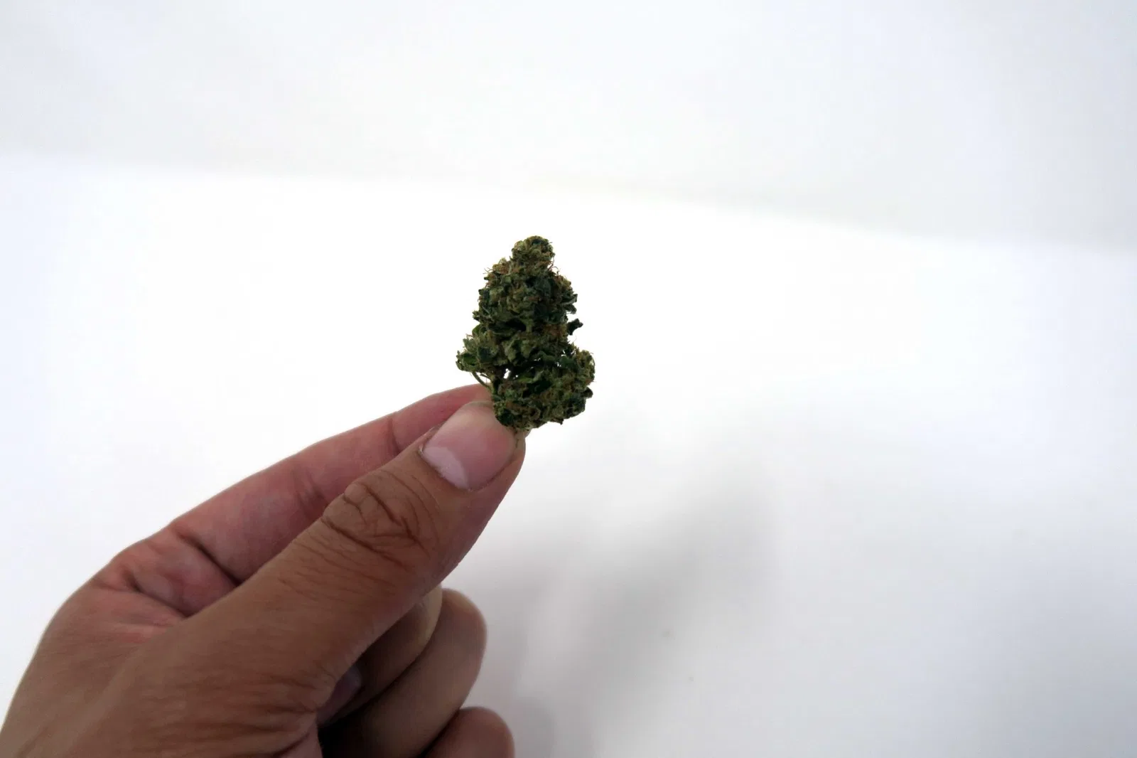 East Coast Sour Diesel cannabis flower from the original UK review archive.