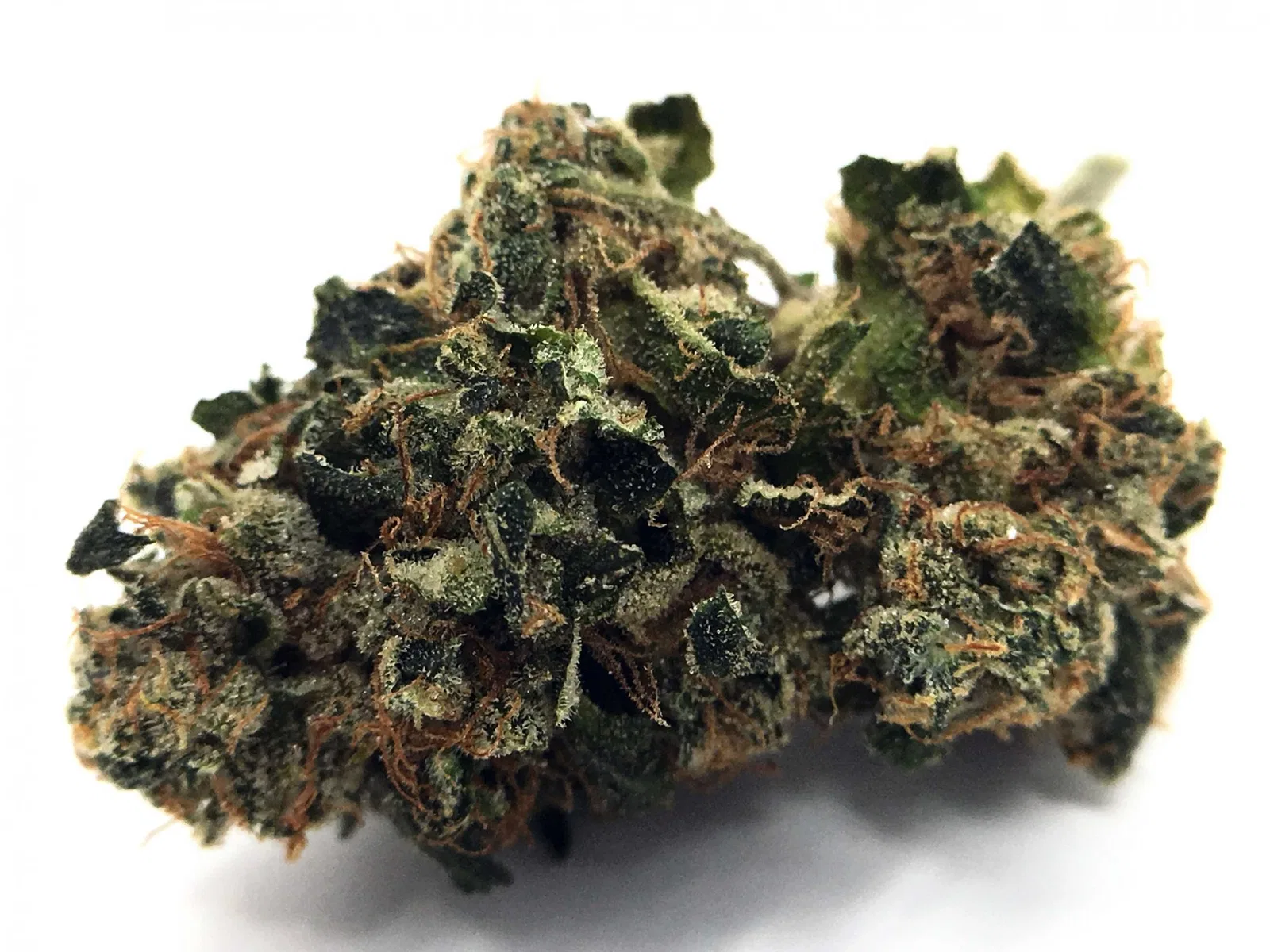 East Coast Sour Diesel
