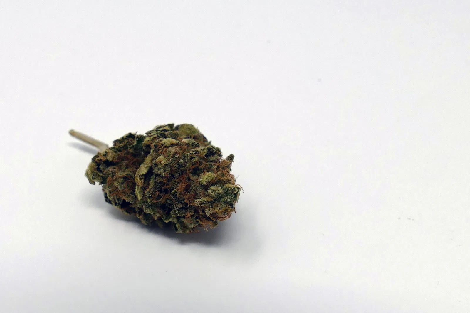 El Fuego (The Fire) cannabis flower from the original UK review archive.