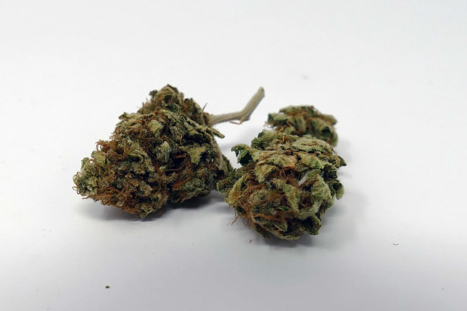 El Fuego (The Fire)