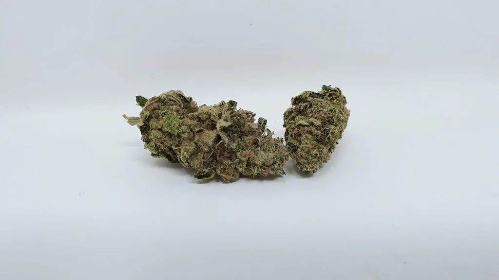 Enzo cannabis flower from the original UK review archive.