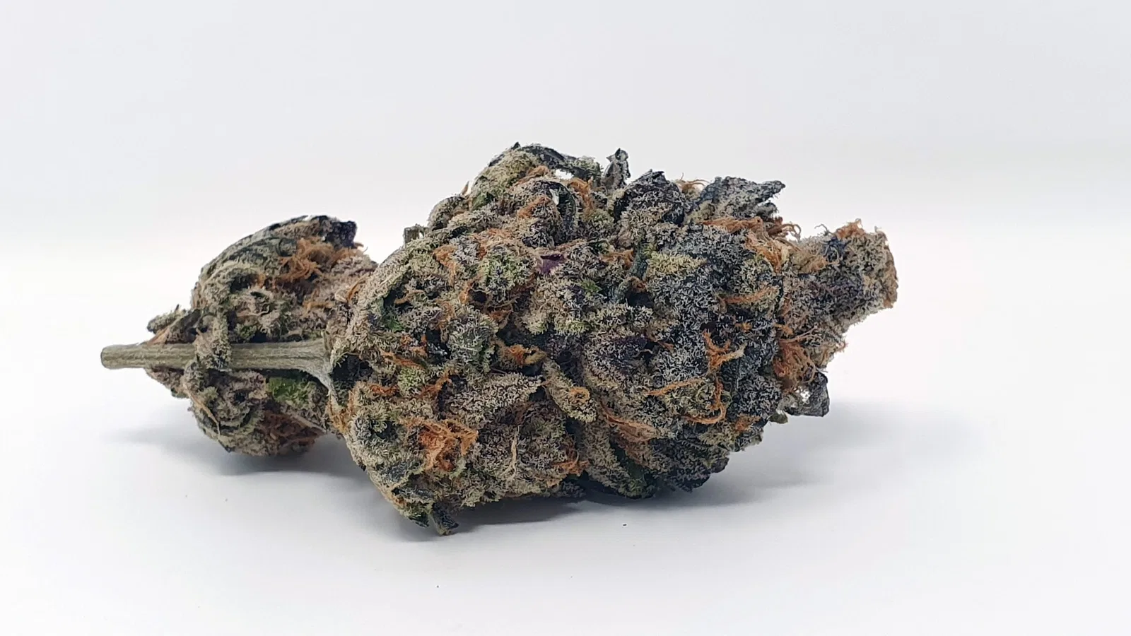 Archive cultivar cannabis flower from the Strains archive