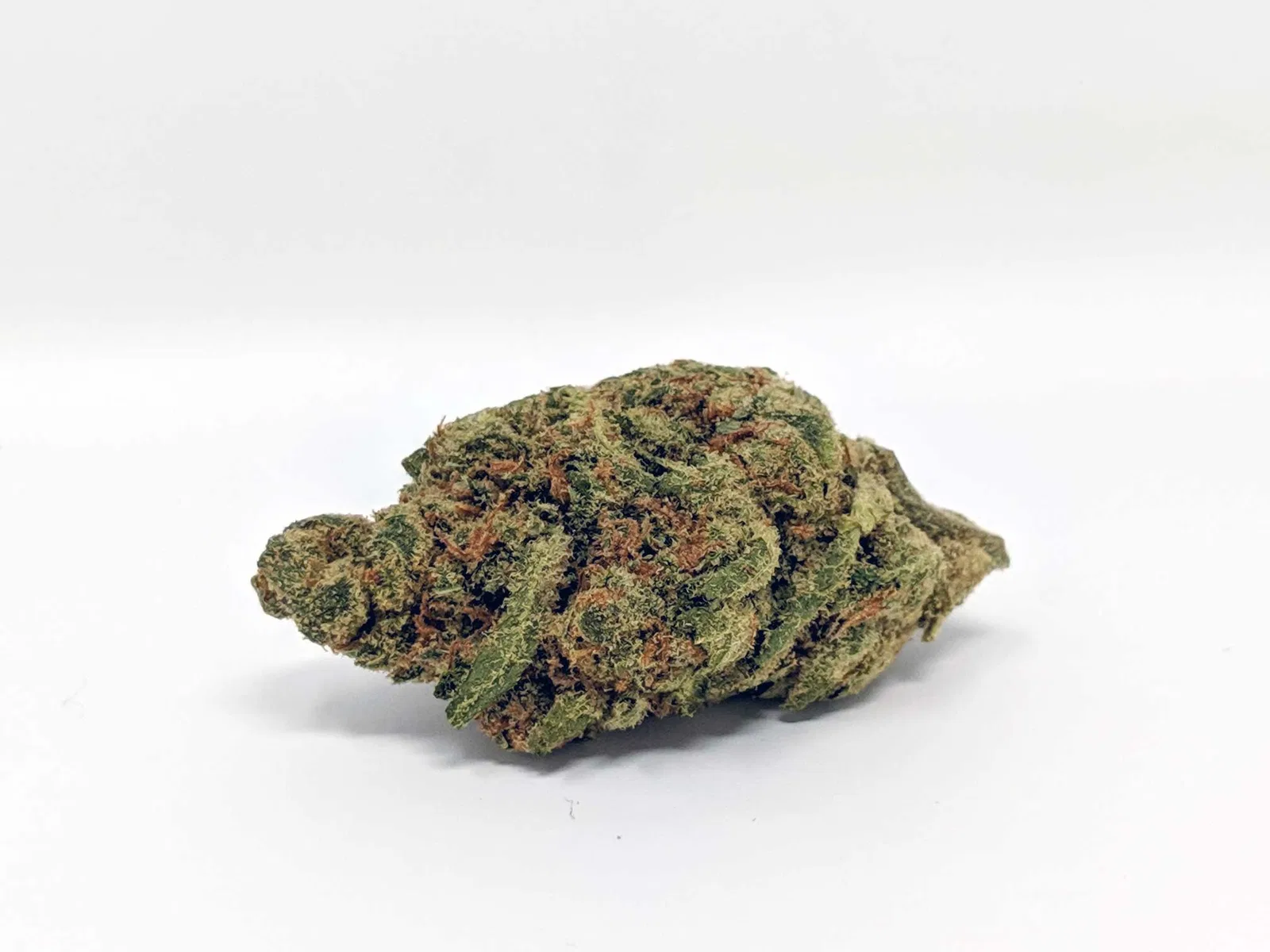 Fruit Bowl by Karma Genetics