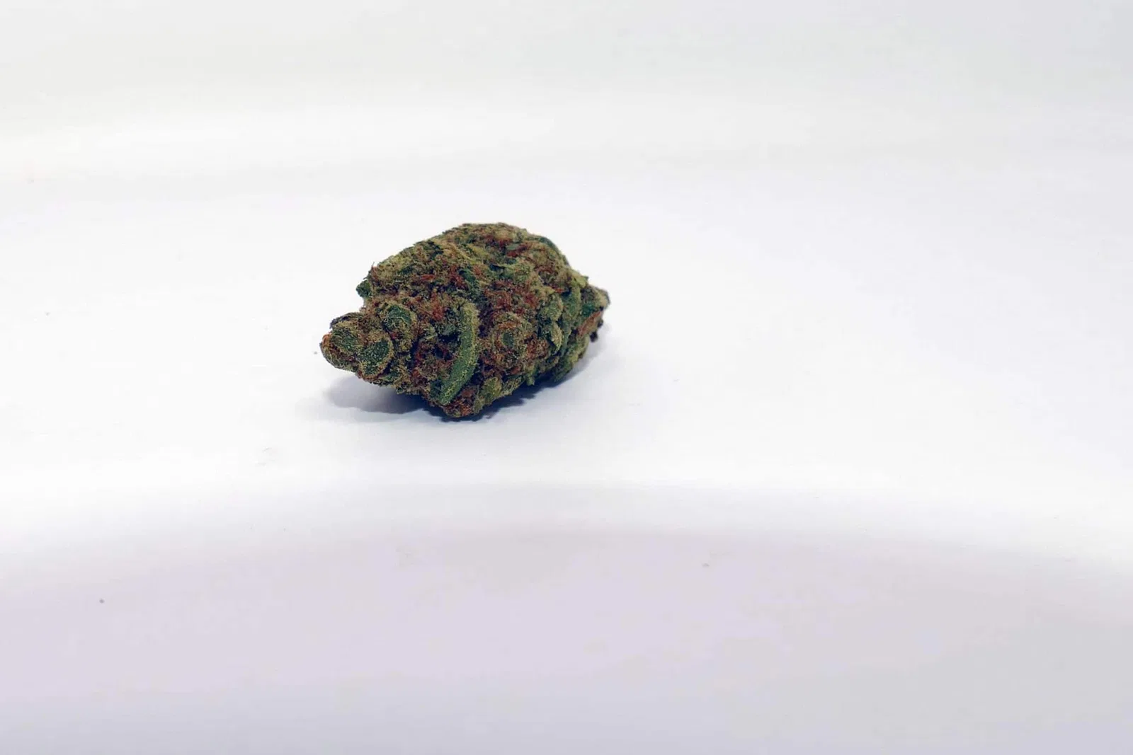 Fruit Bowl by Karma Genetics cannabis flower from the original UK review archive.