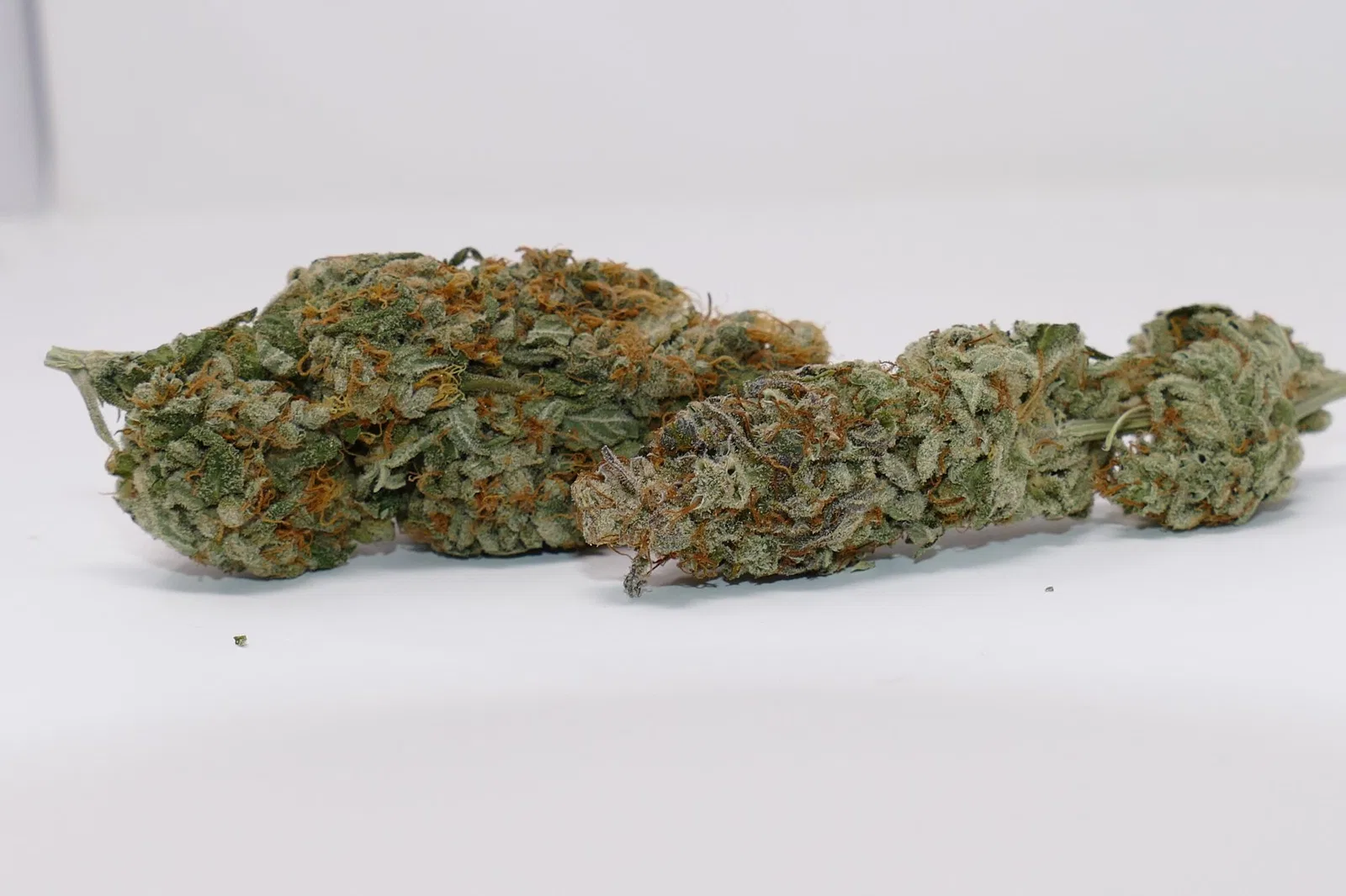 Gigantuan Automatic cannabis flower from the original UK review archive.