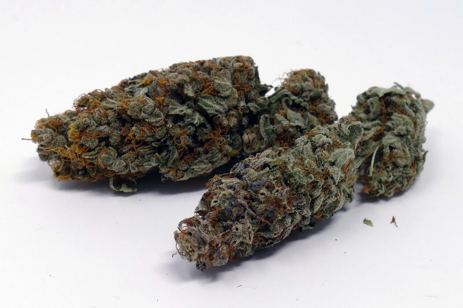 Gigantuan Automatic cannabis flower from the original UK review archive.