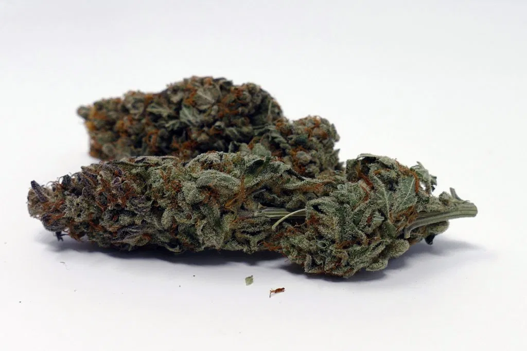 Gigantuan Automatic cannabis flower from the original UK review archive.