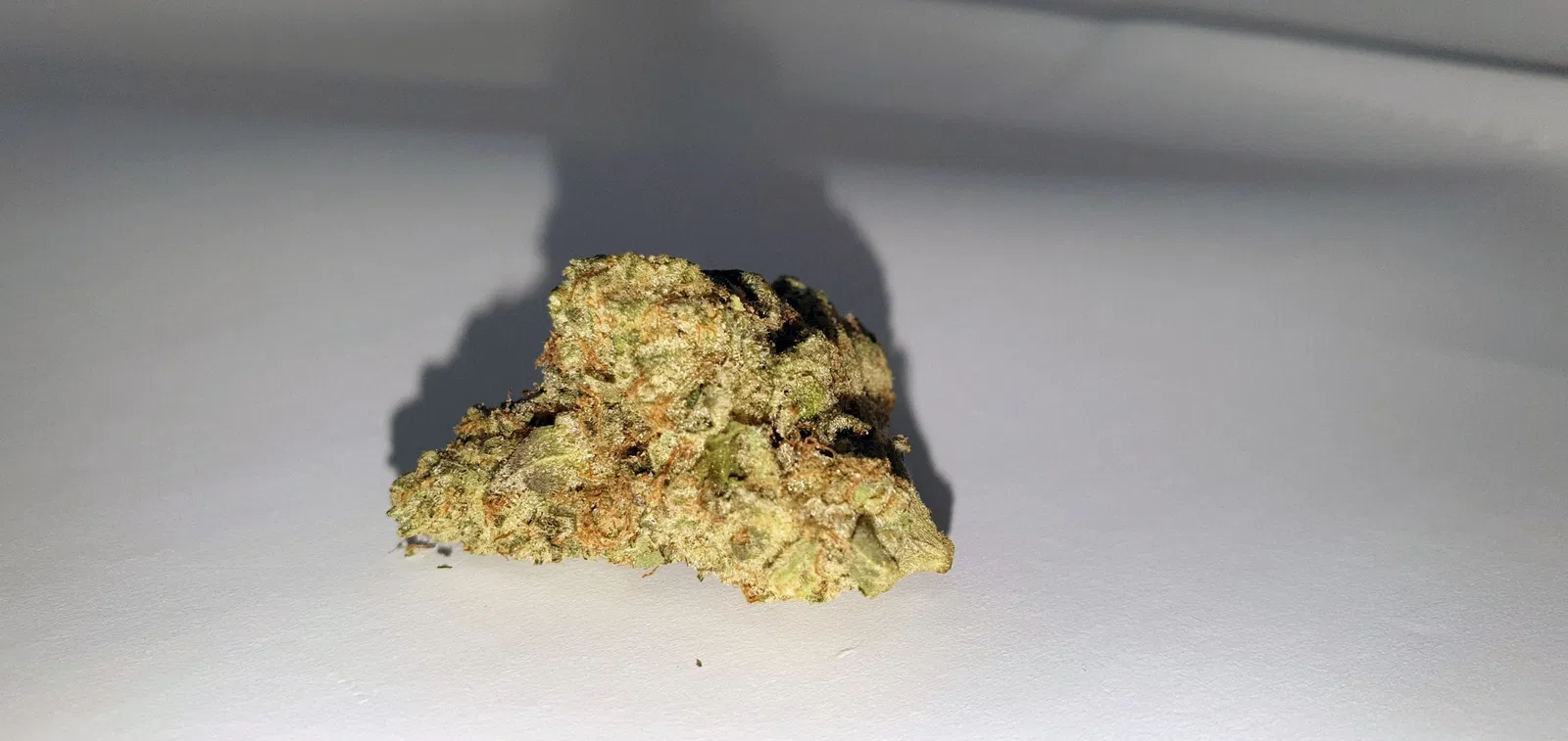 Ginger Glue by Black Sheep Botanicals cannabis flower from the original UK review archive.