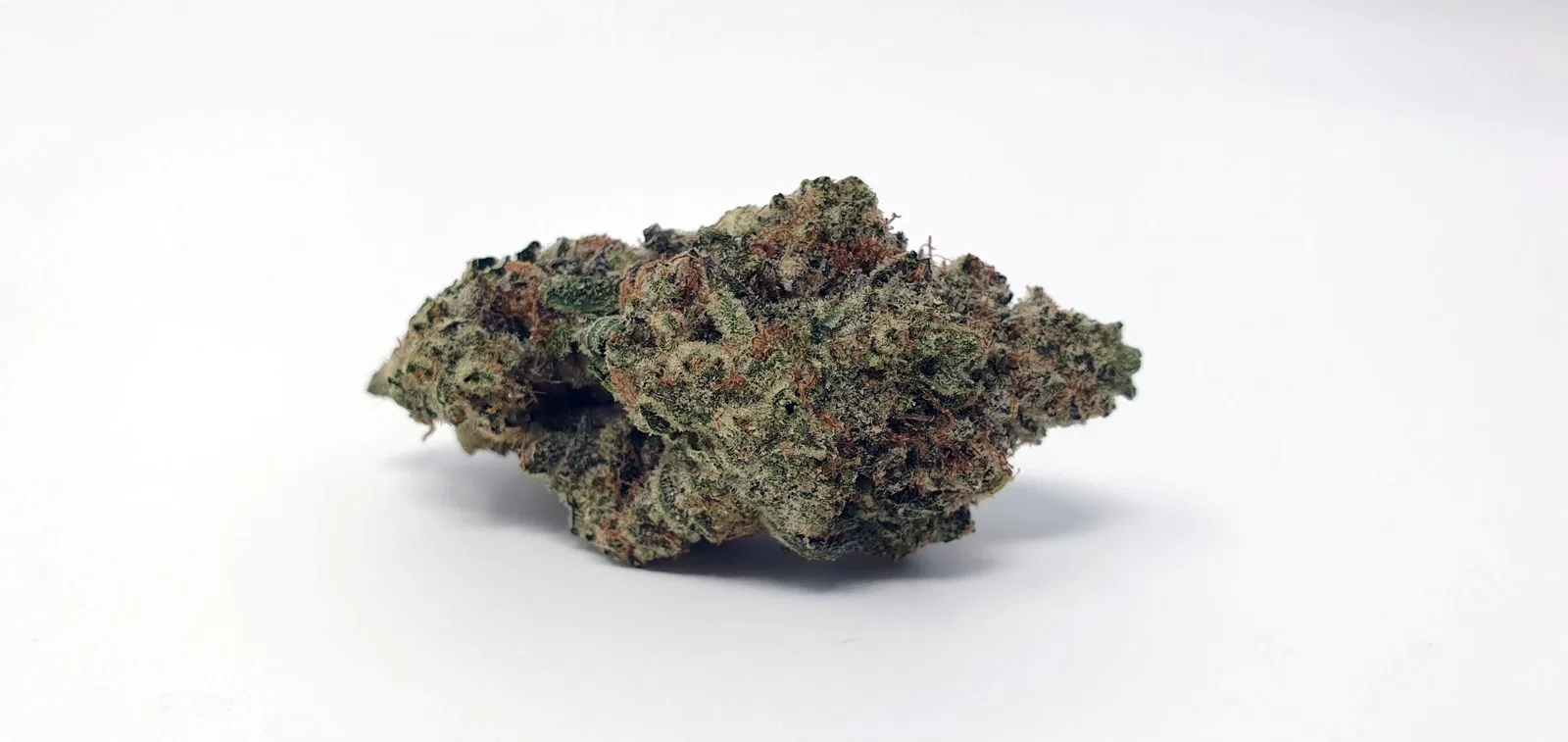 Ginger Glue by Black Sheep Botanicals cannabis flower, shown as a similar-cultivar reference for Black Diamond; not Black Diamond