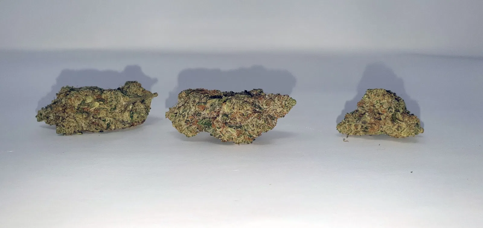 Ginger Glue by Black Sheep Botanicals cannabis flower from the original UK review archive.