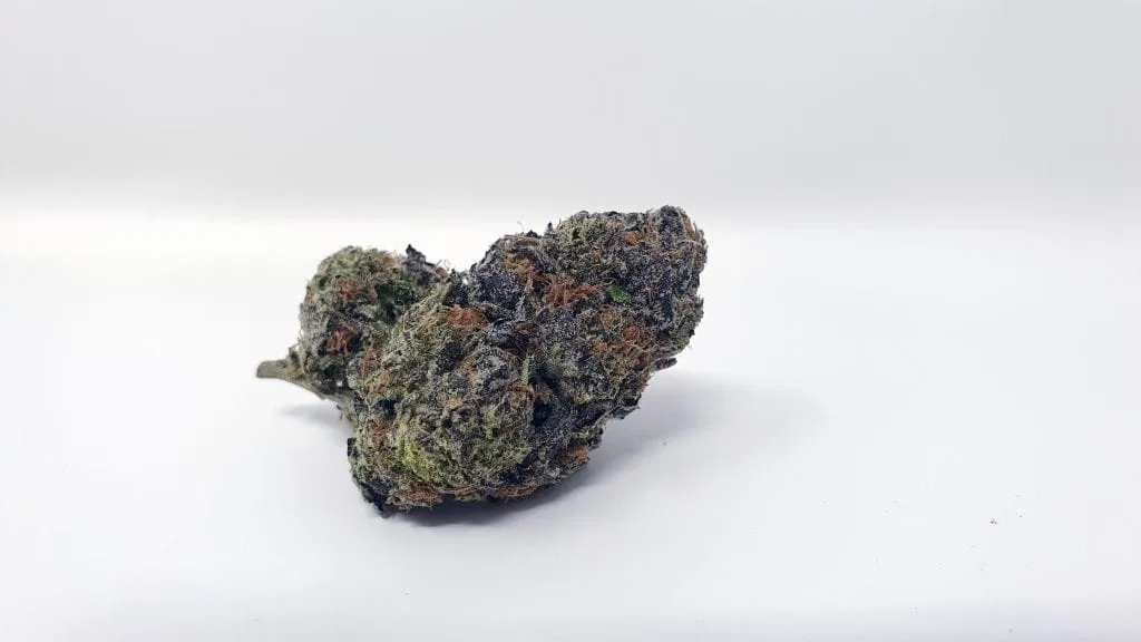 Girl Guide Cookies cannabis flower, shown as a similar-cultivar reference for White Tahoe Cookies; not White Tahoe Cookies