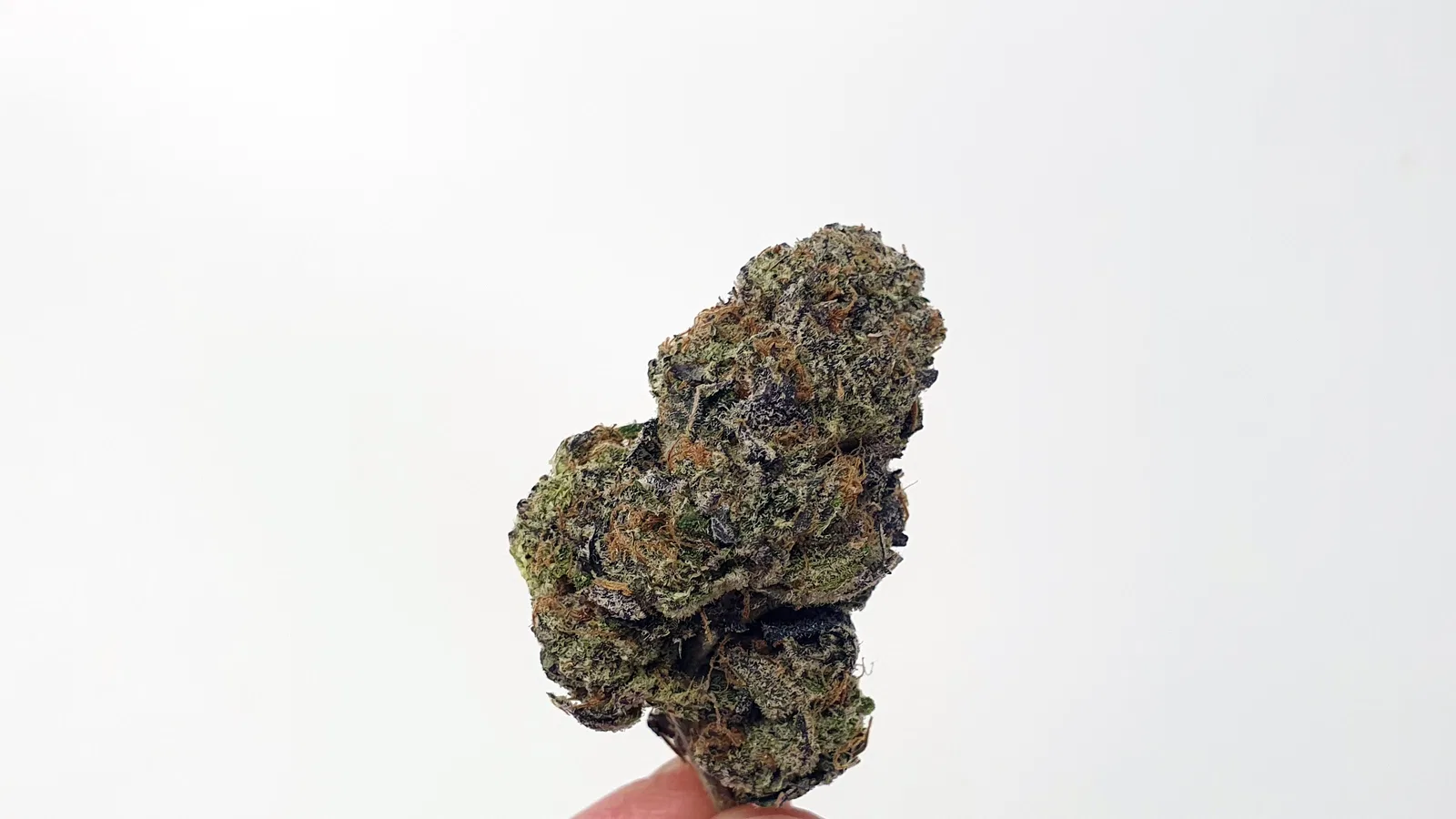 Girl Guide Cookies cannabis flower from the original UK review archive.