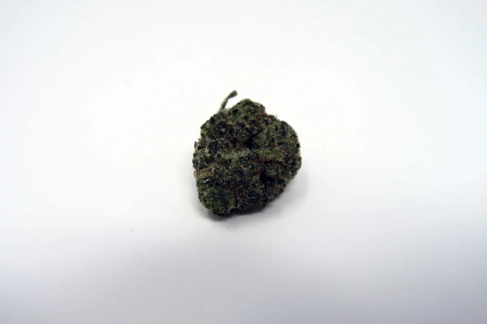 Girl Scout Cookies