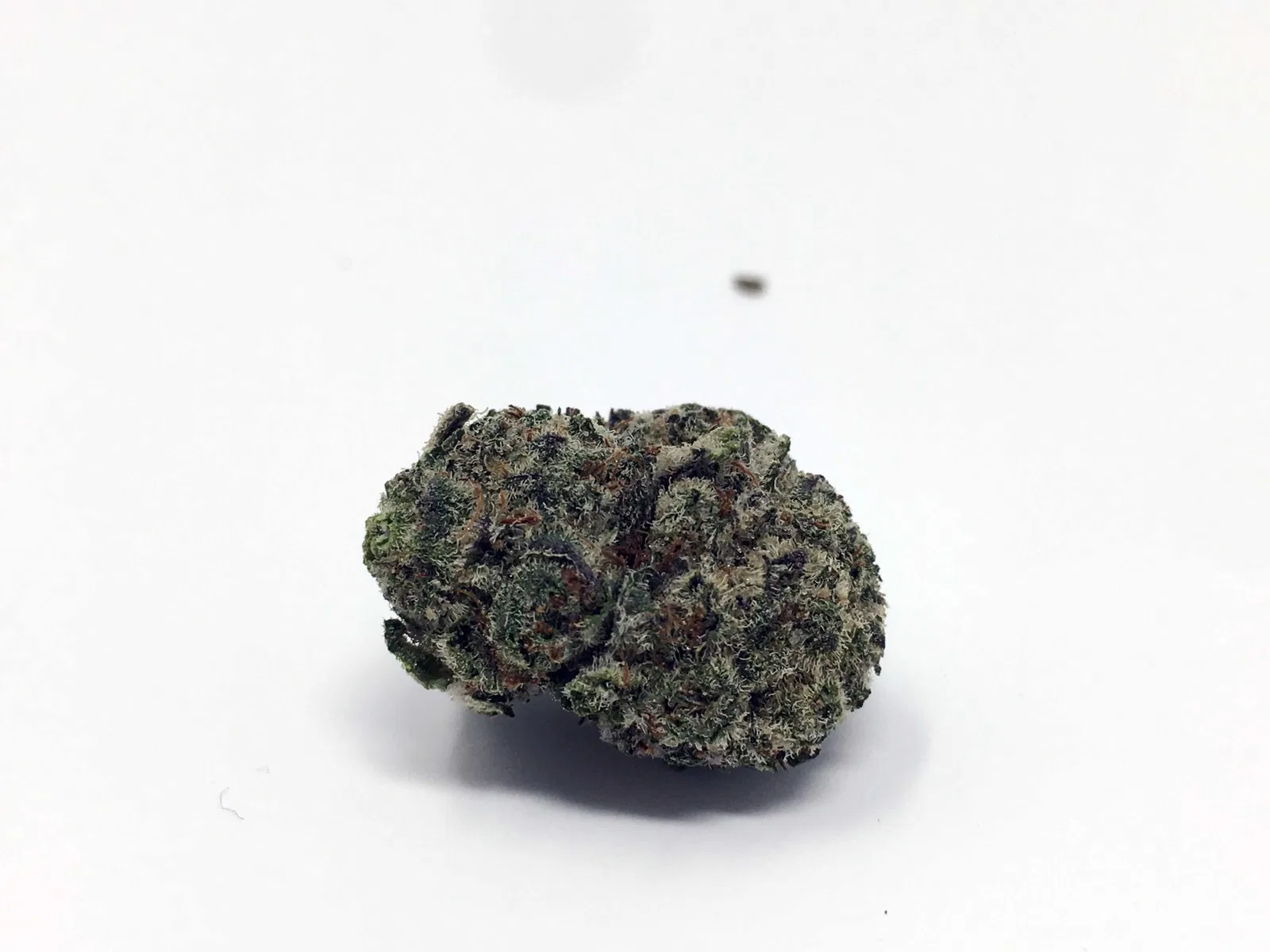 Girl Scout Cookies cannabis flower from the original UK review archive.