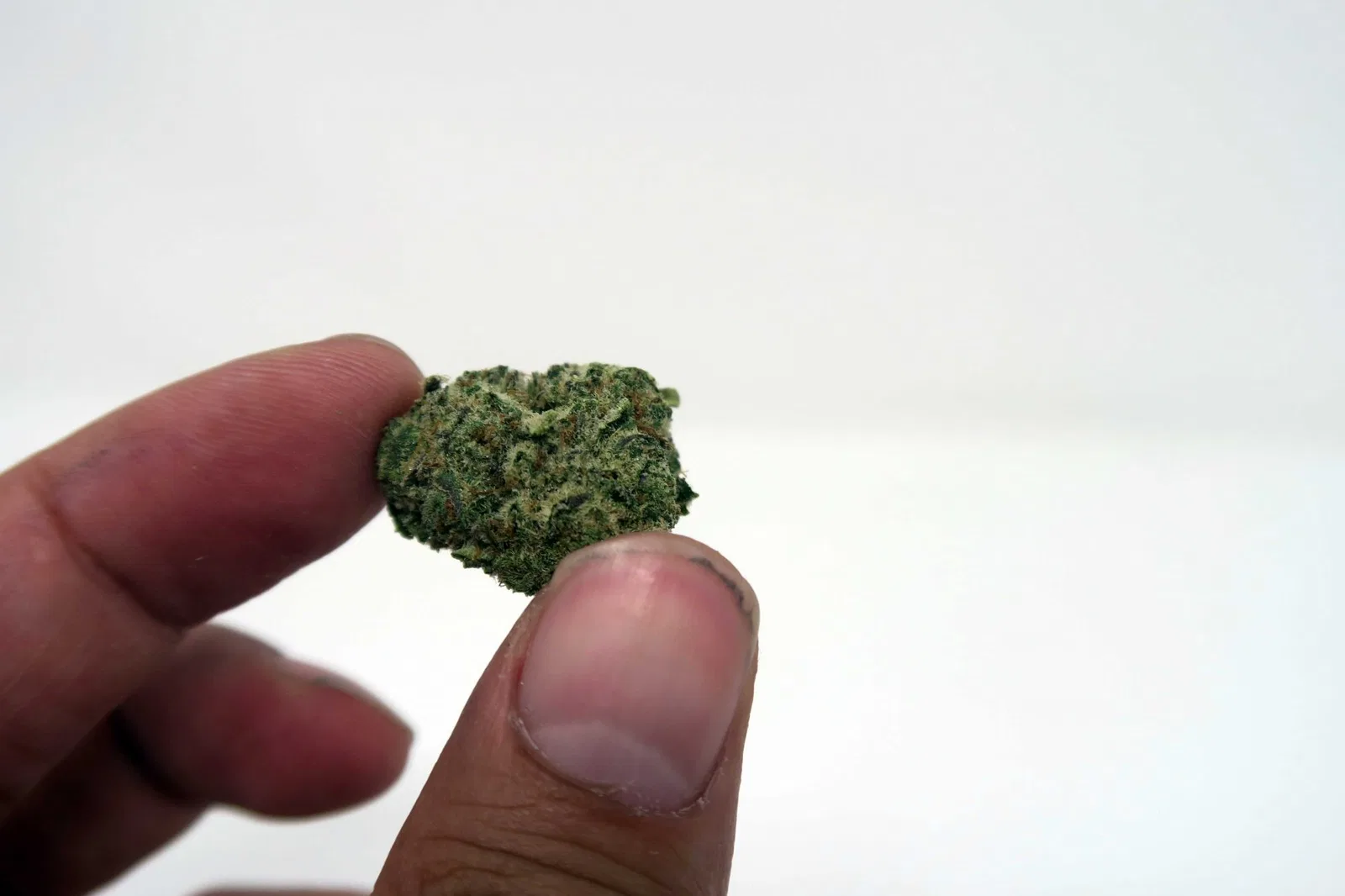 Girl Scout Cookies cannabis flower from the original UK review archive.