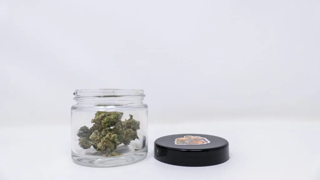 GMO cannabis flower from the original UK review archive.