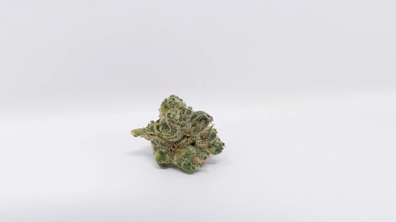 GMO cannabis flower from the original UK review archive.