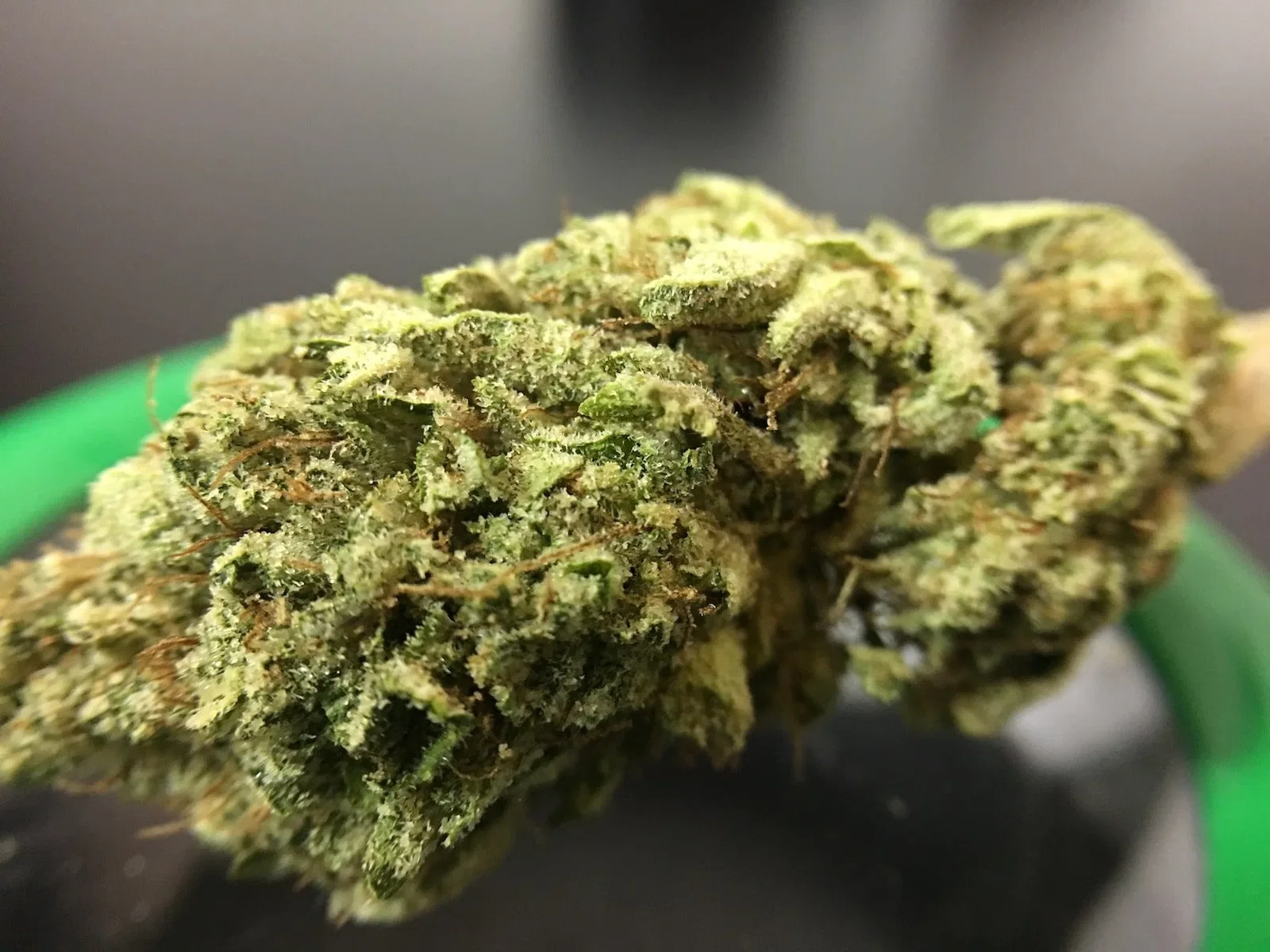 Gorilla Glue #4 cannabis flower from the original UK review archive.