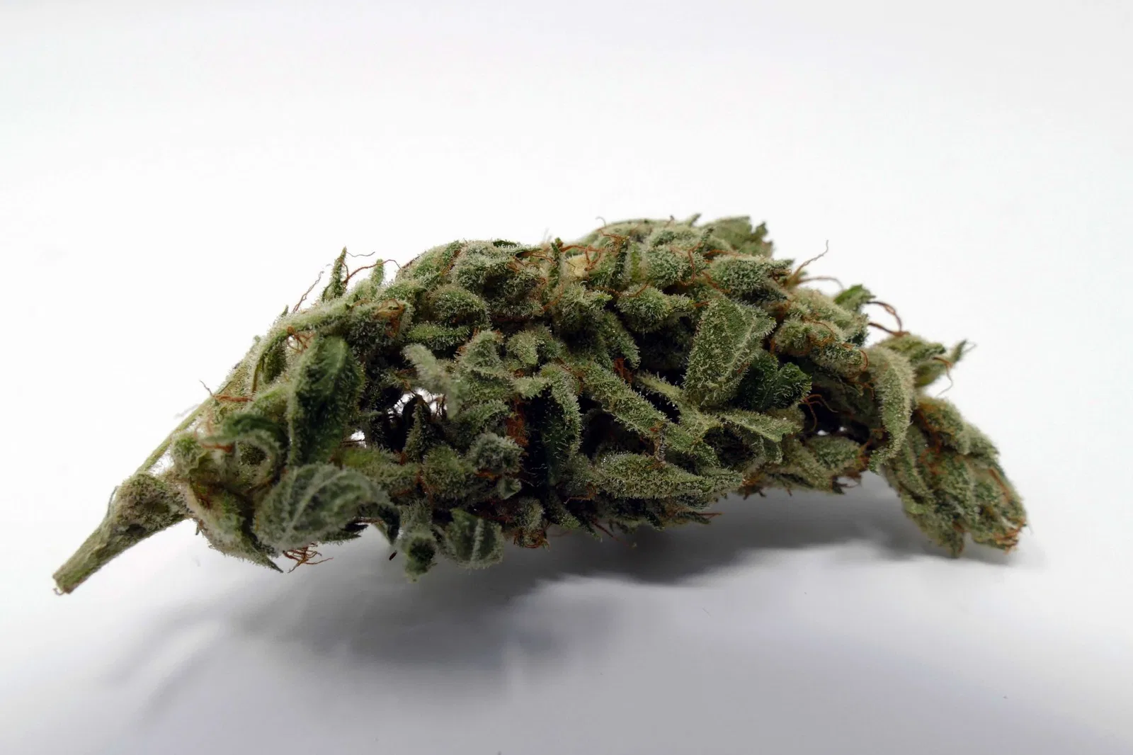 Gorilla Glue #4 cannabis flower from the original UK review archive.