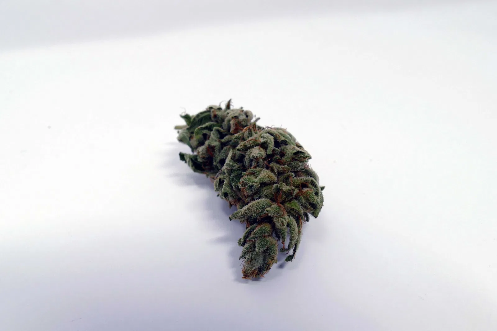 Gorilla Glue cannabis flower, shown as a similar-cultivar reference for Strawberry Glue; not Strawberry Glue