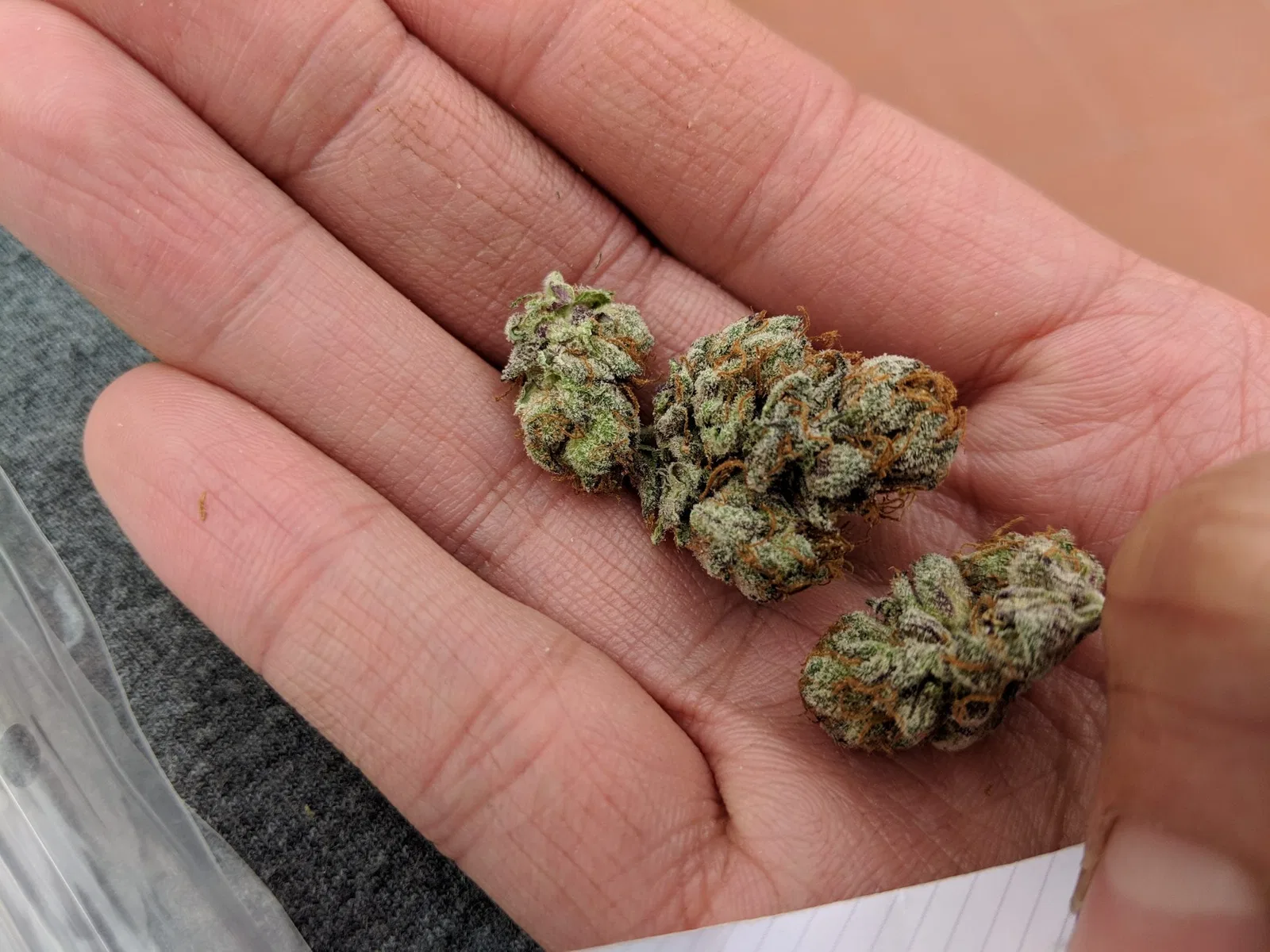 Green Gelato cannabis flower from the original UK review archive.
