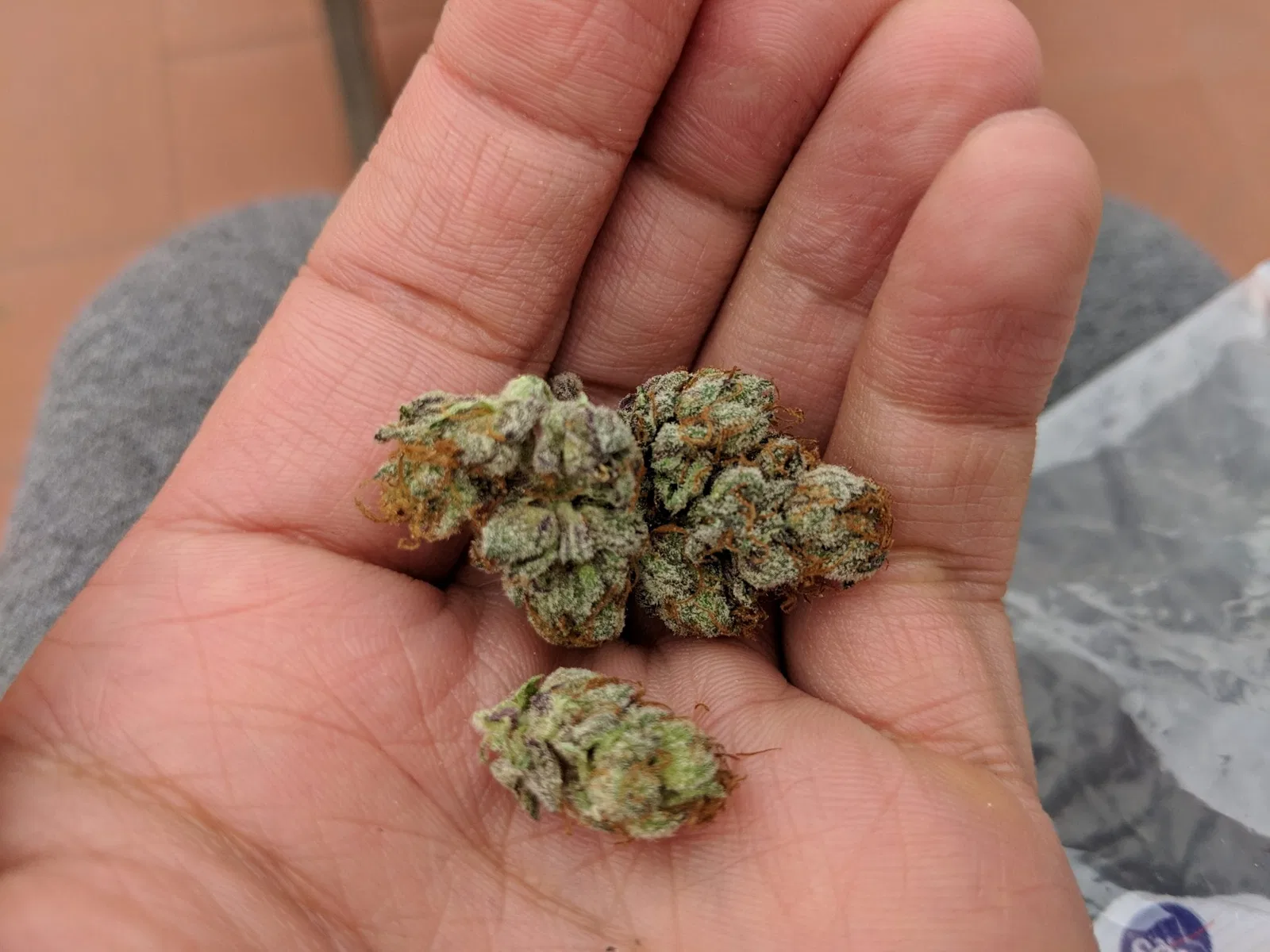 Green Gelato