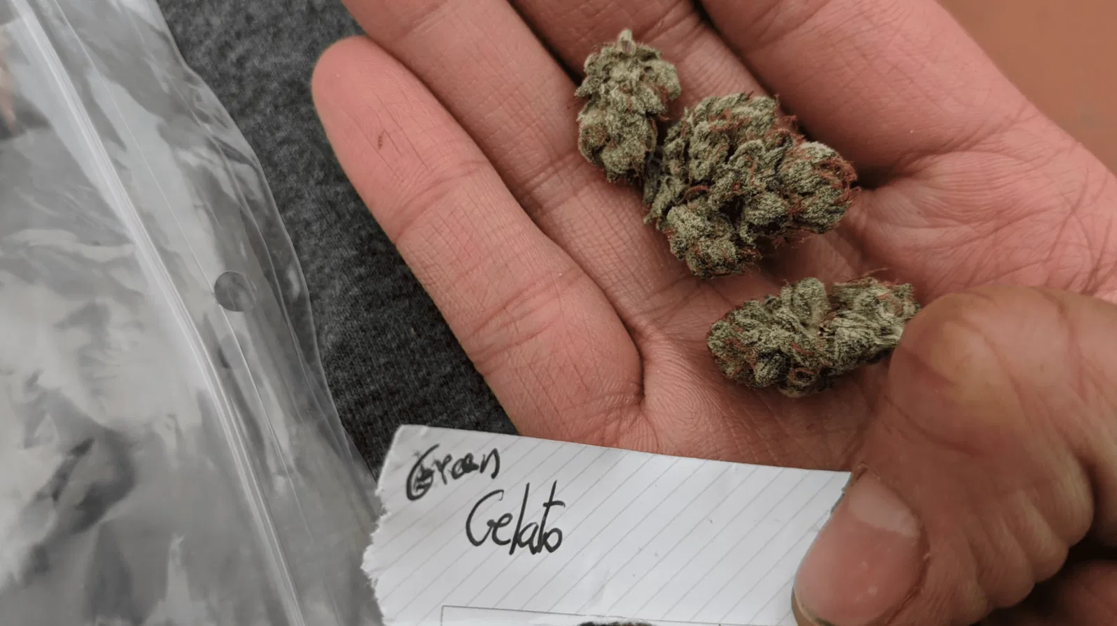 Green Gelato cannabis flower from the original UK review archive.
