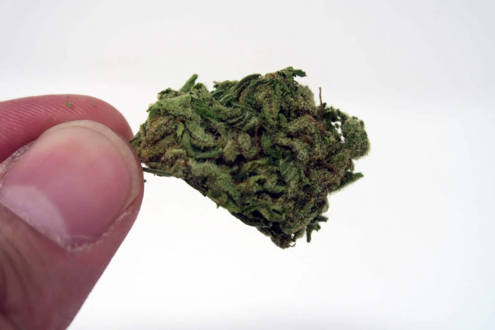 Green Kiss cannabis flower from the original UK review archive.
