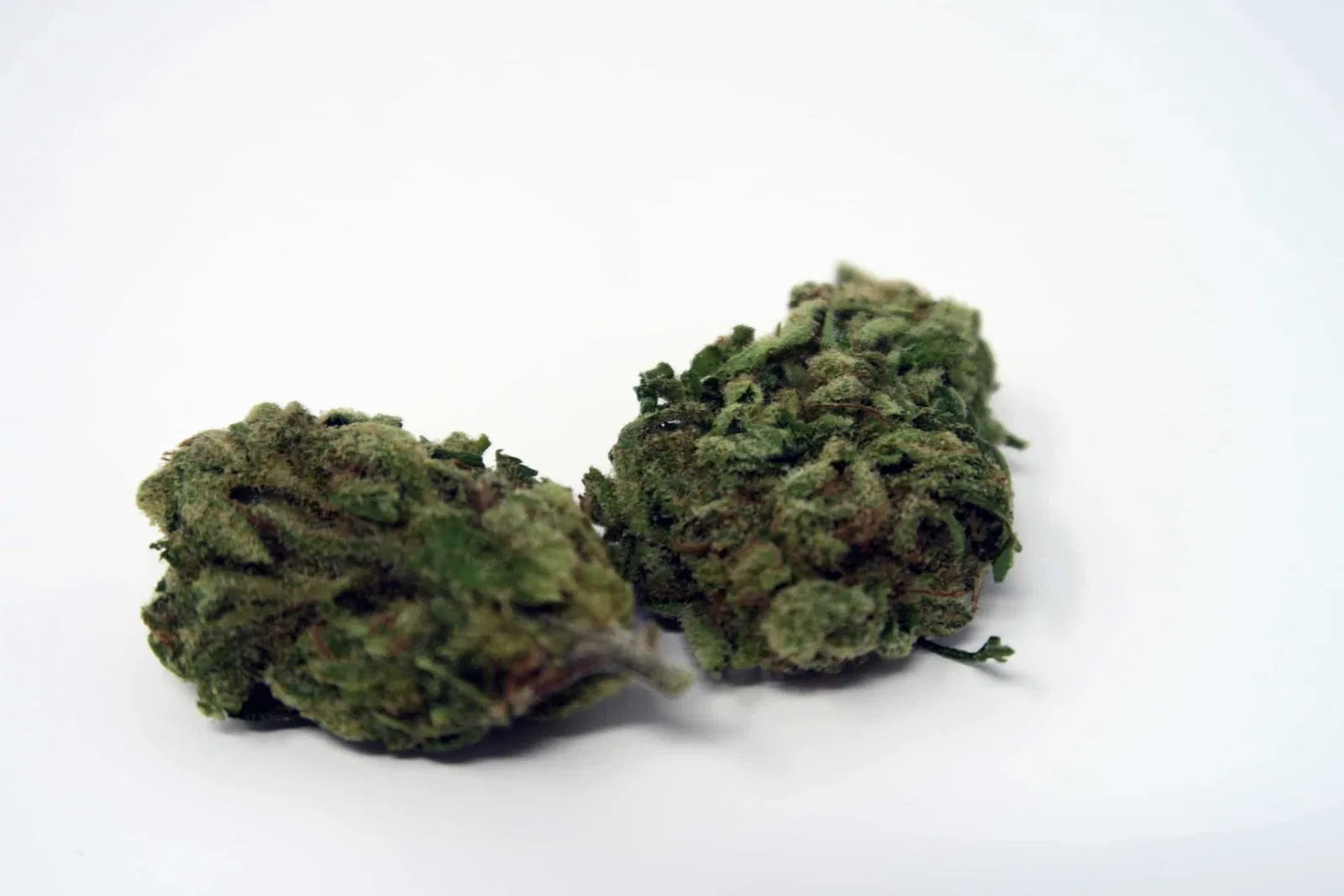 Green Kiss cannabis flower from the original UK review archive.