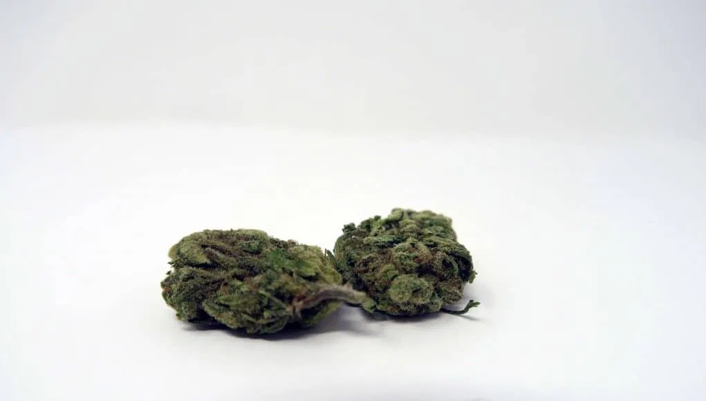 Green Kiss cannabis flower from the original UK review archive.