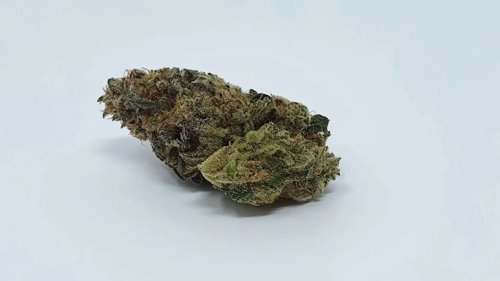 Harambe’s Revenge cannabis flower from the original UK review archive.
