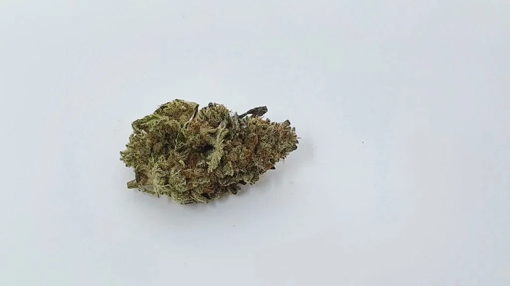 Harambe’s Revenge cannabis flower from the original UK review archive.