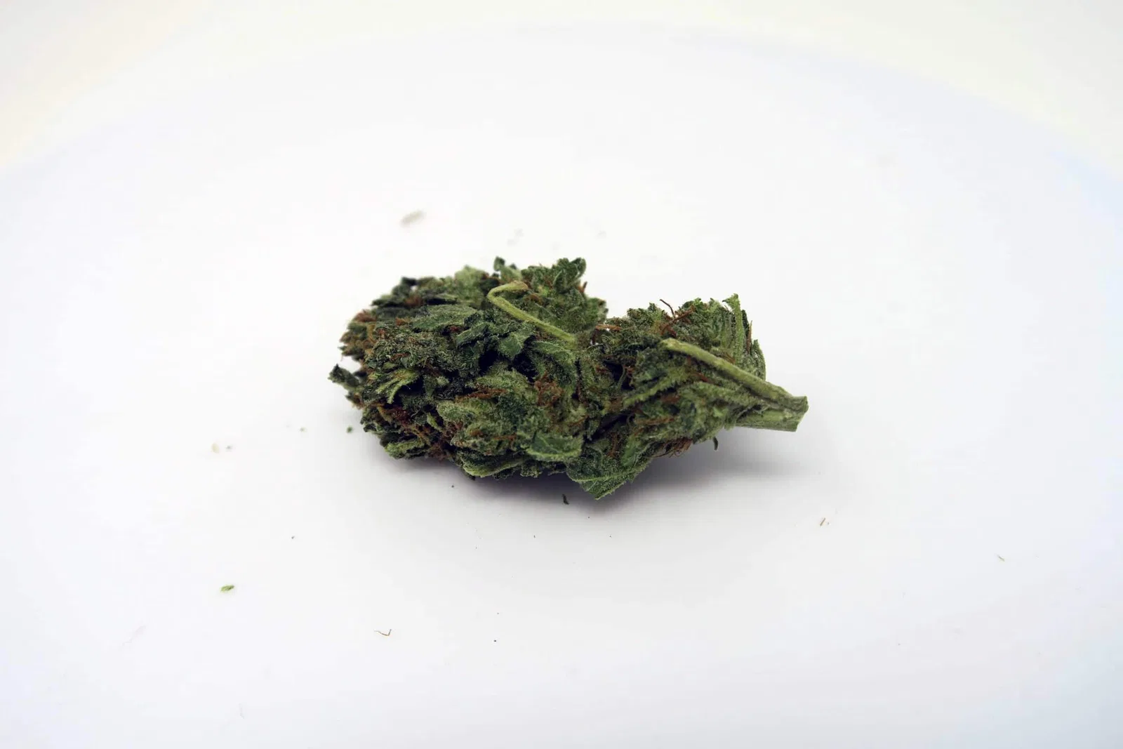 Hawaiian Haze