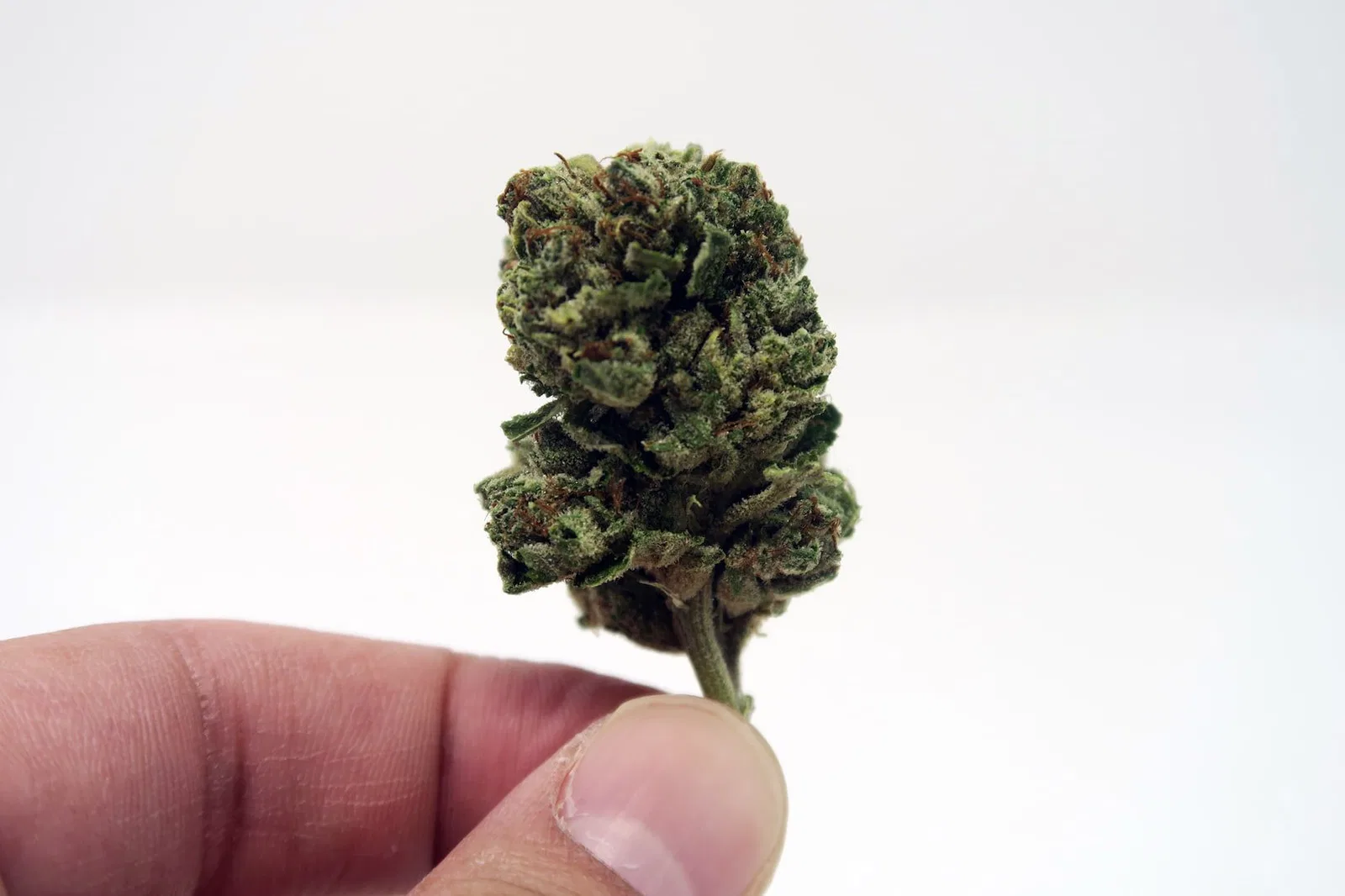 Headband cannabis flower from the original UK review archive.